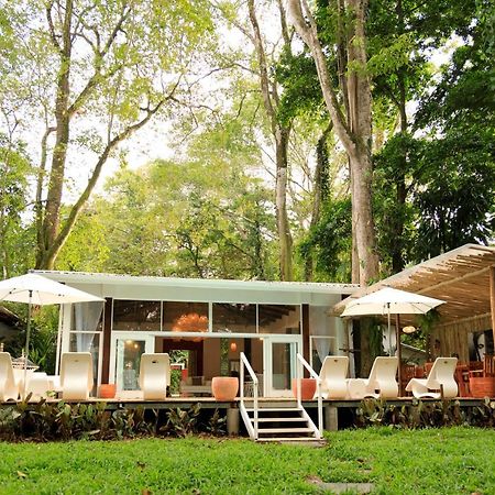 Gigi Brown Villa Frida Beachfront Puerto Viejo de Talamanca Екстер'єр фото