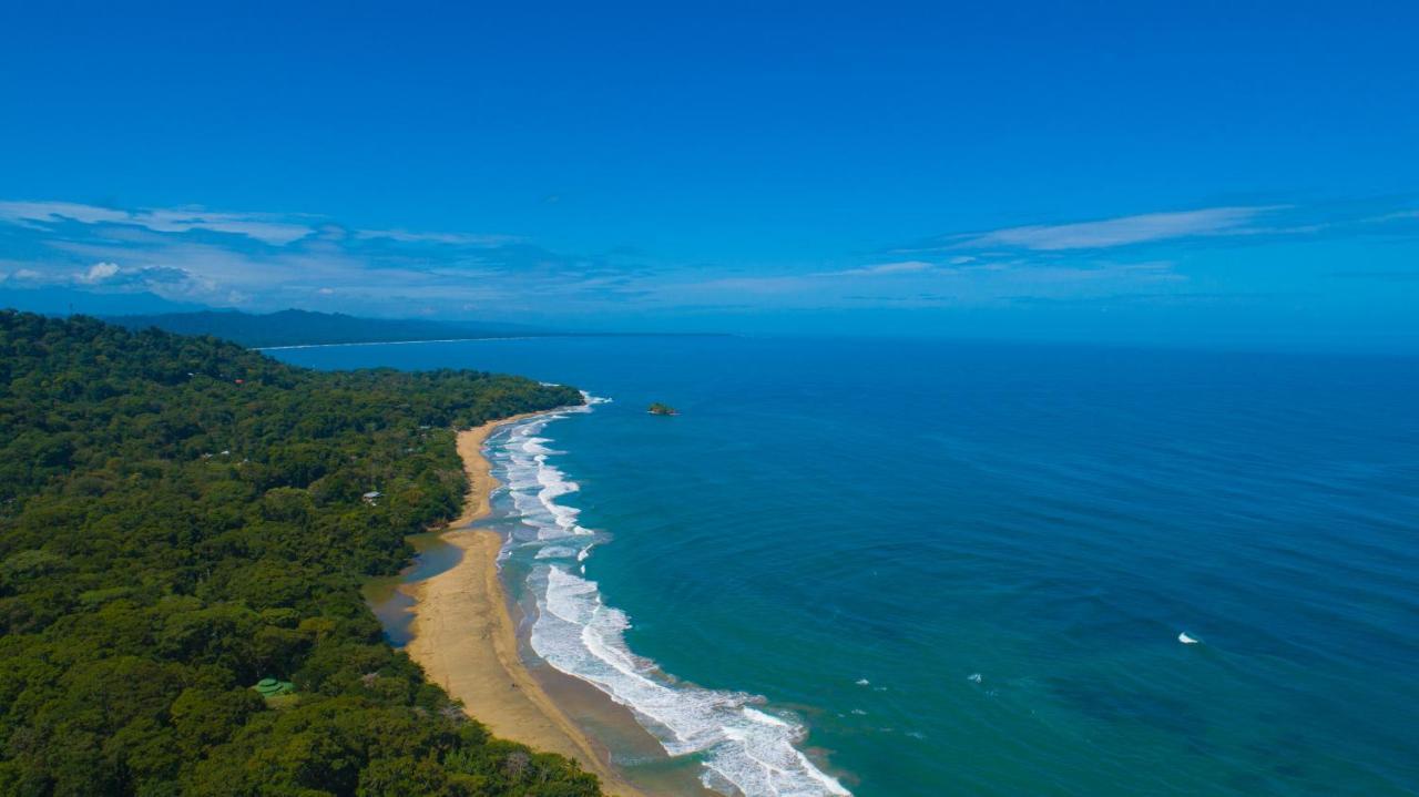 Gigi Brown Villa Frida Beachfront Puerto Viejo de Talamanca Екстер'єр фото